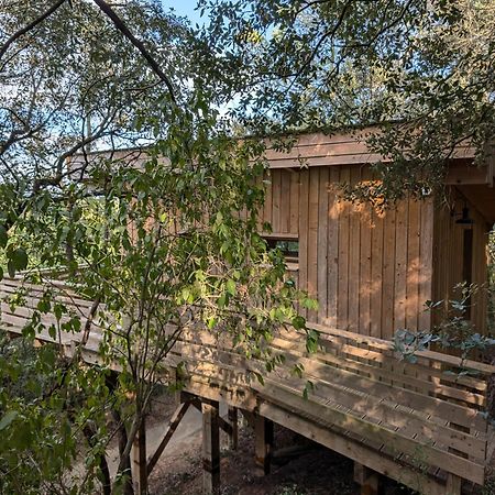 Les Cabanes Dans Les Bois Logis Hotel Villedubert Eksteriør billede