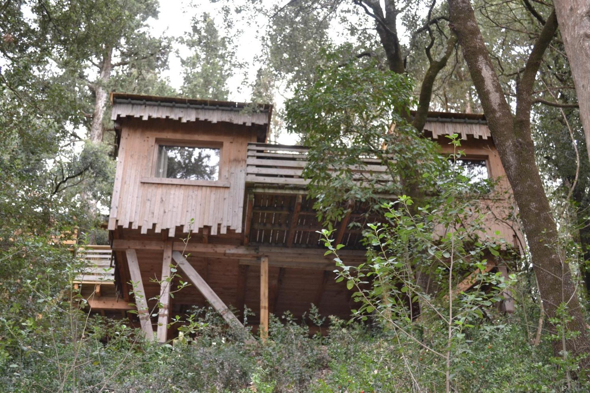 Les Cabanes Dans Les Bois Logis Hotel Villedubert Eksteriør billede