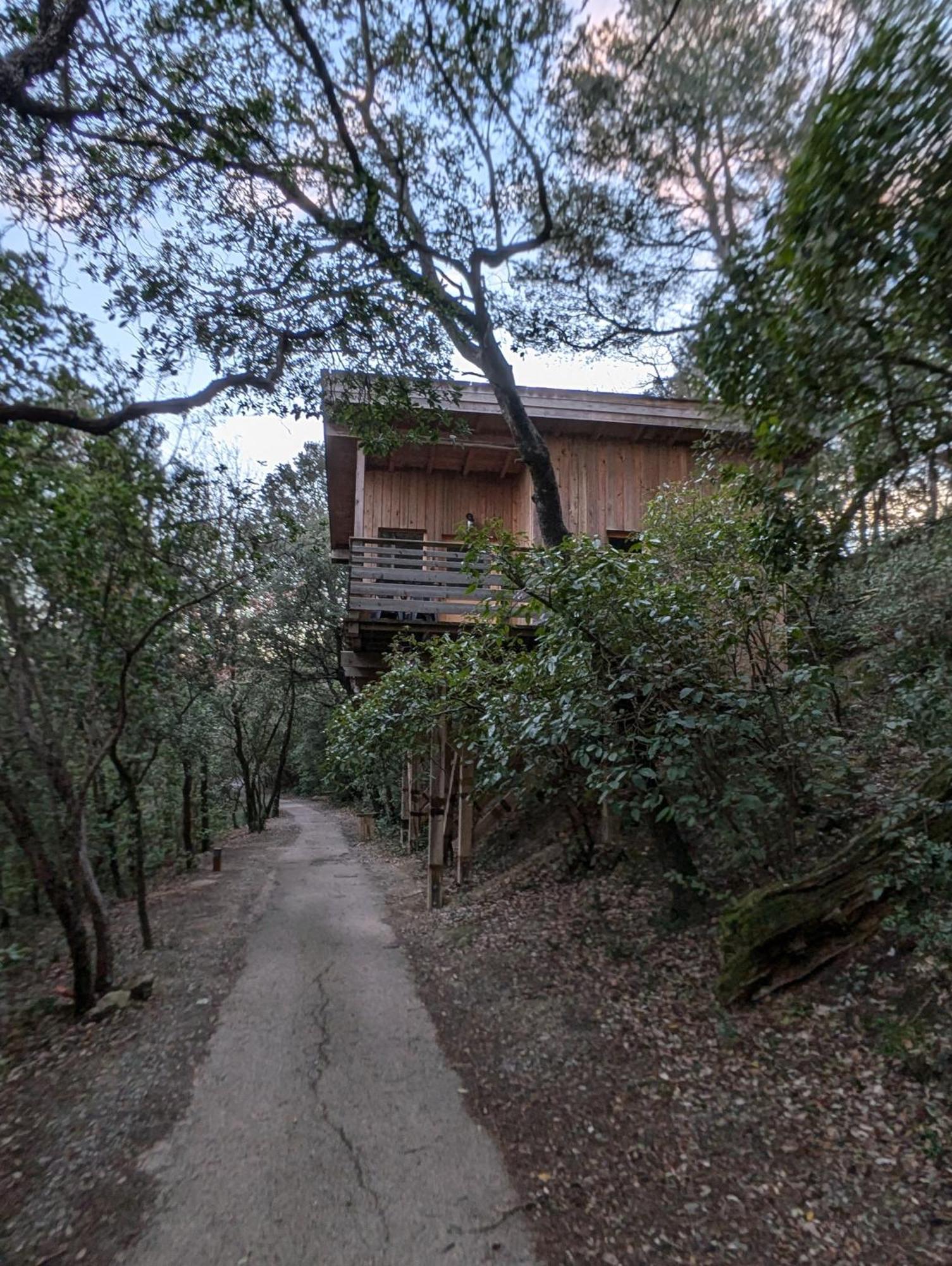 Les Cabanes Dans Les Bois Logis Hotel Villedubert Eksteriør billede