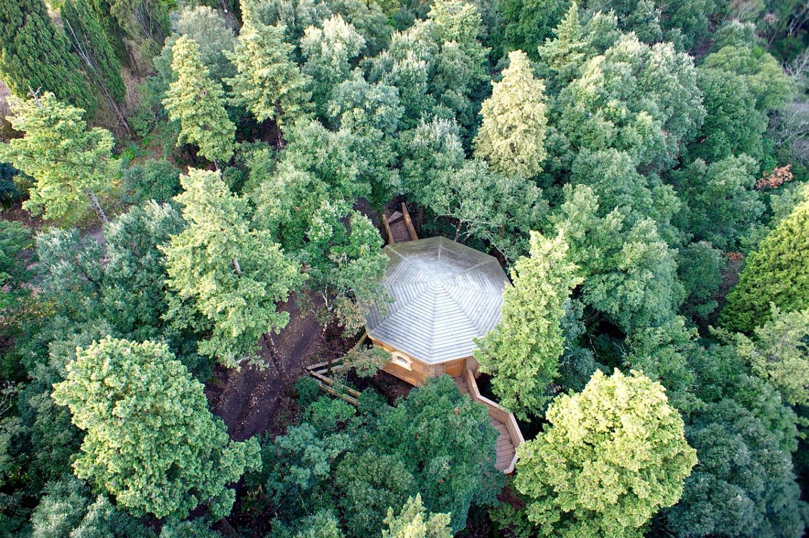 Les Cabanes Dans Les Bois Logis Hotel Villedubert Eksteriør billede