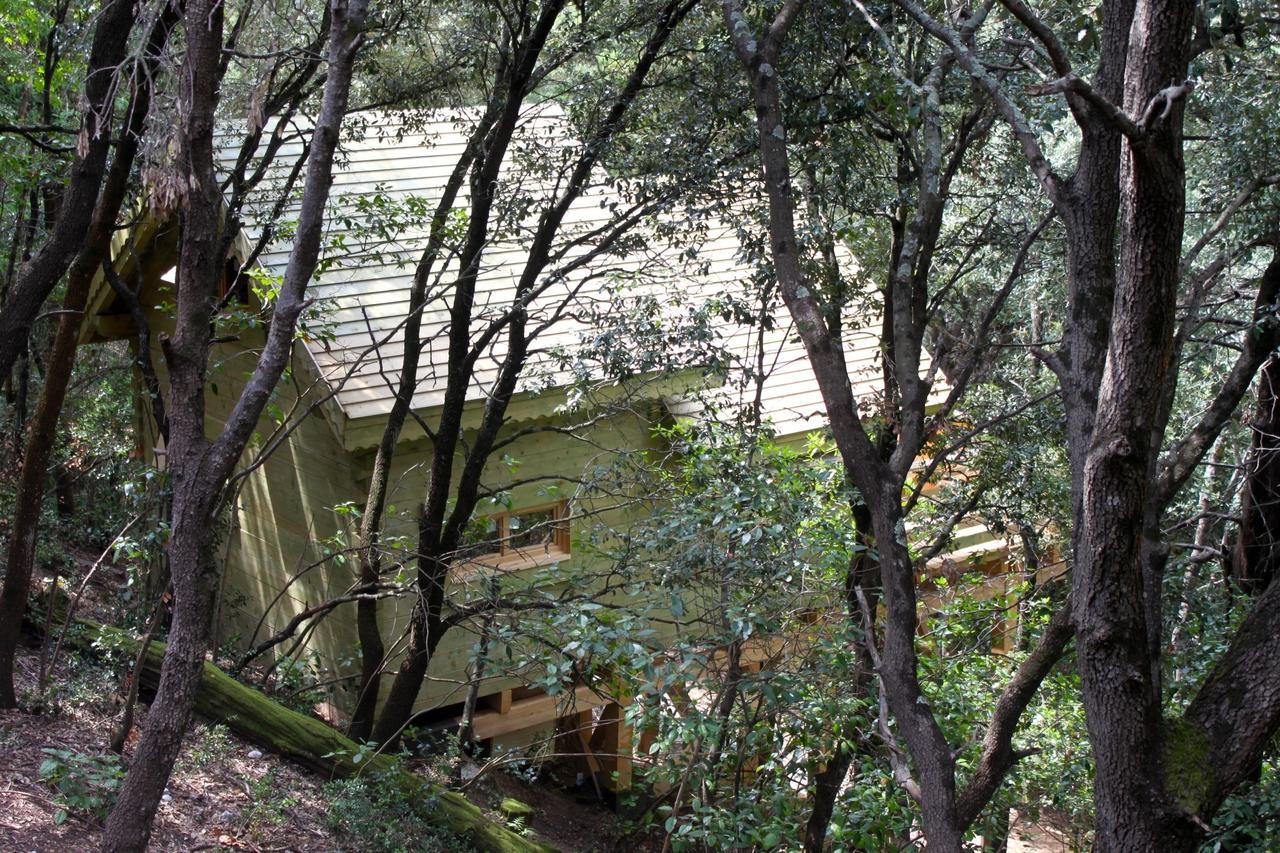 Les Cabanes Dans Les Bois Logis Hotel Villedubert Eksteriør billede