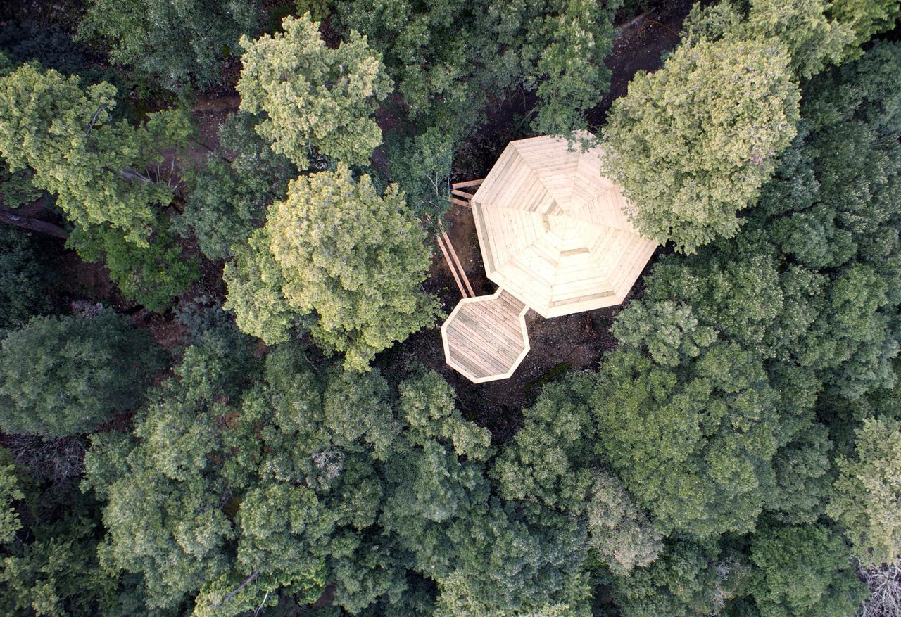 Les Cabanes Dans Les Bois Logis Hotel Villedubert Eksteriør billede
