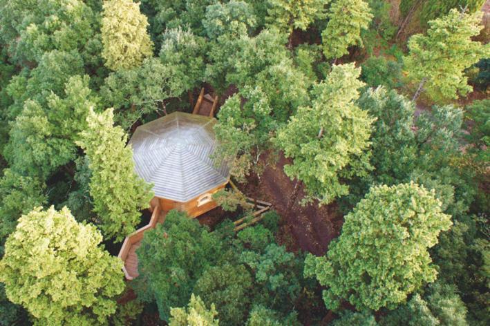 Les Cabanes Dans Les Bois Logis Hotel Villedubert Eksteriør billede